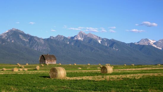 Montana Tessa Siebel Newsom Profile: Background & Public Information