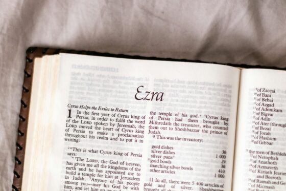 EYP Meaning in Text