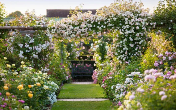 Roses Retreat Prestwich: Your Luxury Boutique Hotel in Greater Manchester